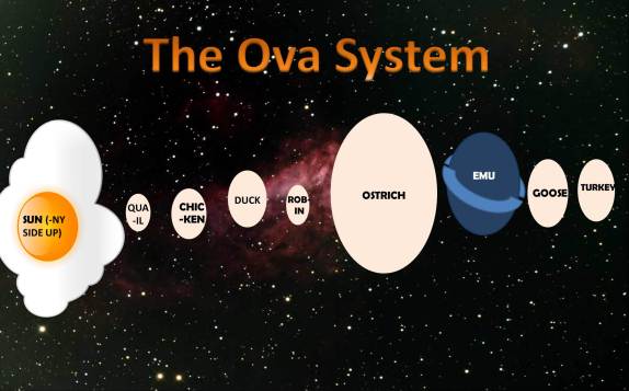 The Ova System